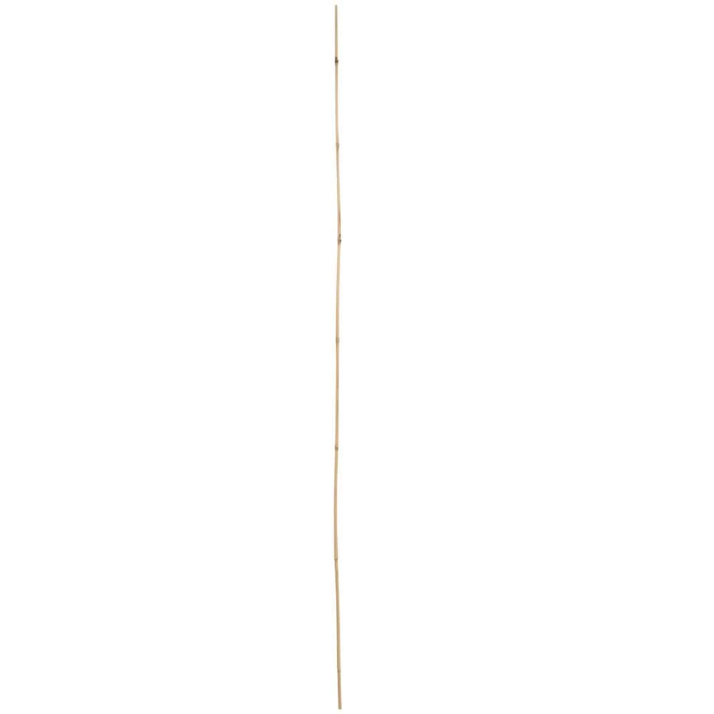Vigoro 5 ft. Natural Bamboo Stake - Image 5