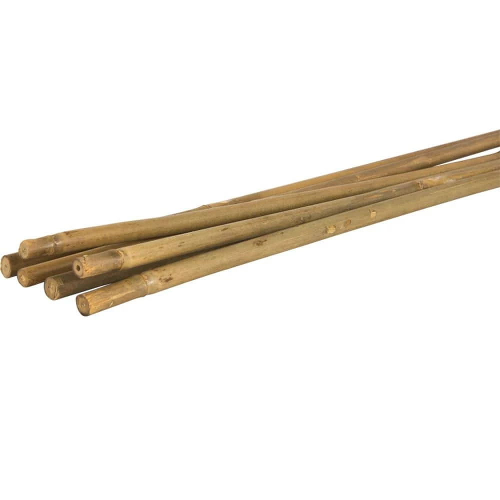 Vigoro 5 ft. Natural Bamboo Stake - Image 4