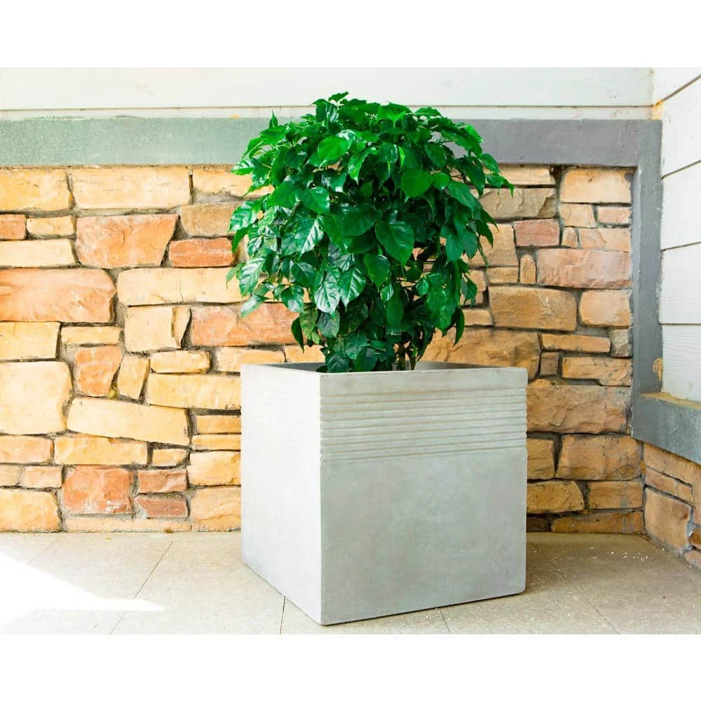 KANTE 15 in. W Square Natural Concrete/Fiberglass Indoor Outdoor Elegant Planter - Image 8