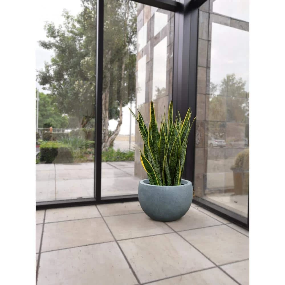 KANTE 12 in. W Round Slate Gray Concrete/Fiberglass Indoor Outdoor Modern Seamless Bowl Planter - Image 6