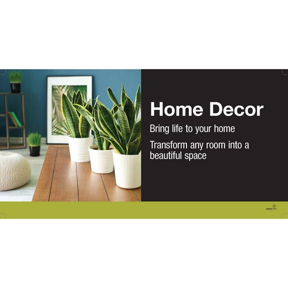 Vigoro 6 in. ZZ Indoor Plant in Small White Ribbed Plastic Decor Planter (2-Pack) - Image 3