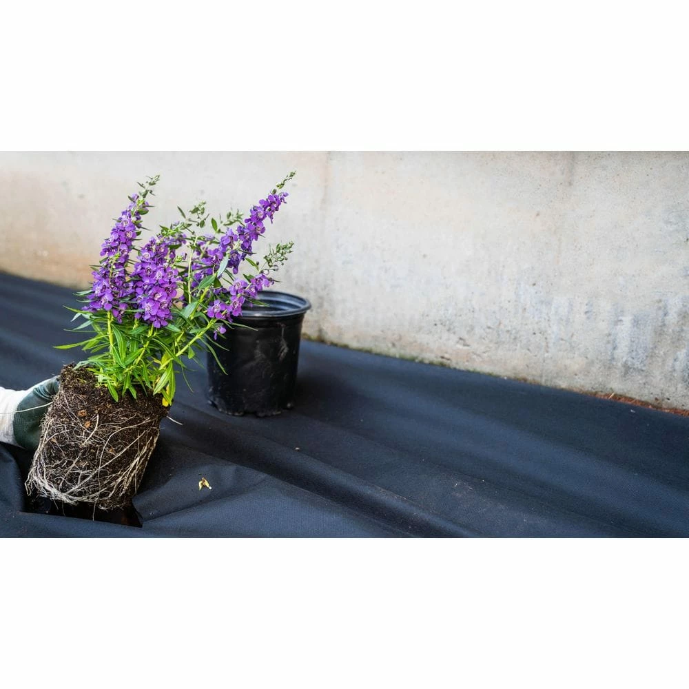 Vigoro 4 ft. x 200 ft. Point Bond Landscape Fabric - Image 7