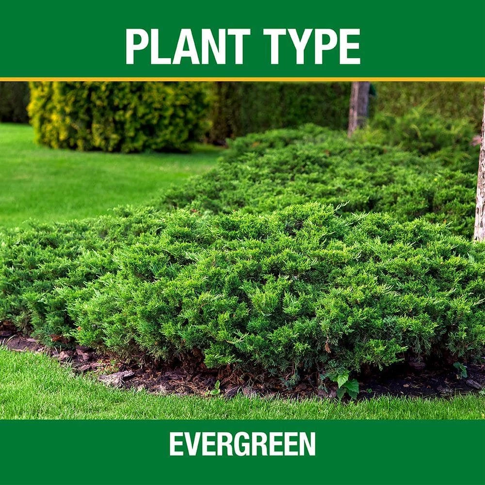 Vigoro 4.2 lb. All Season Tree and Shrub Fertilizer Spikes (12-5-7) (15-Count) - Image 2